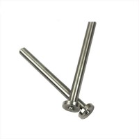 OEM AAA Quality Multifunctional Various Shape Cheap Shear Pin Turning Rivet Factory From China